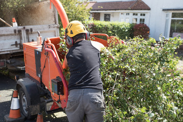 Hiring a Tree Service Contractor